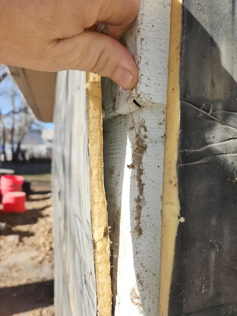 20241212 110655-m7b7yc1igzjszytv