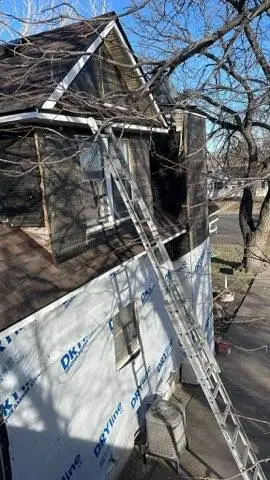 IMG 20250218 140438-m7b7va3pn5uld753