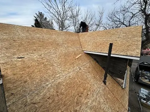 IMG 20250218 140537-m7b7v9q4arh66jiz