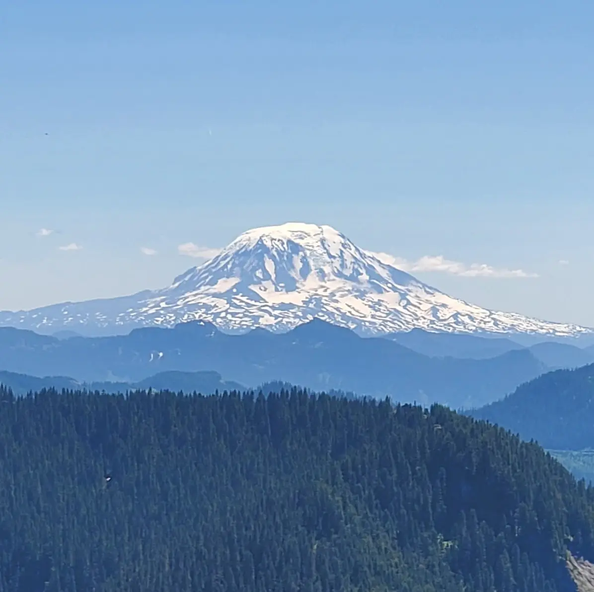 IMG_20260122_174141 (8)